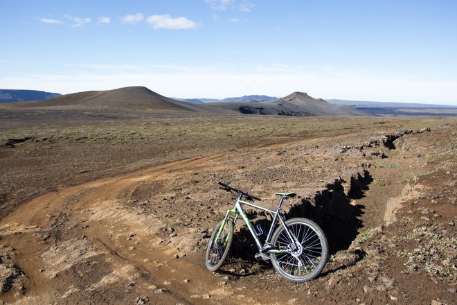 Bike Rental