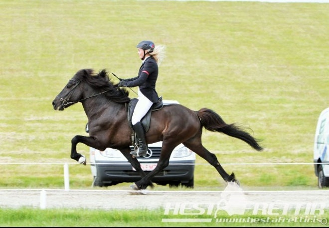 Landsmot 2018 / The National Icelandic Horse Competition 2018