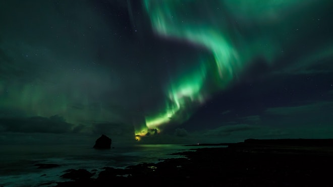 Whale Watching & Northern lights Combo