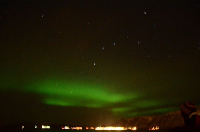 Whale Watching & Northern lights Combo