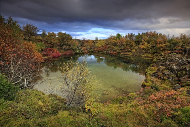 Golden Circle & Snorkeling at Silfra | Free Photos & Small Group