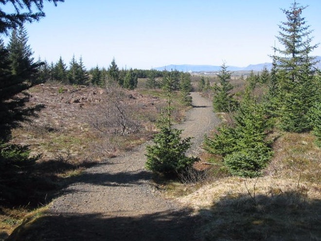 Red Lava Horse Riding & Glacier Ice Cave