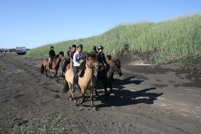 Beach Horse Riding Tour