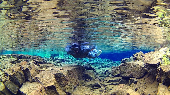 Snorkelling Silfra M + Photos & Cookies Iceland Explore