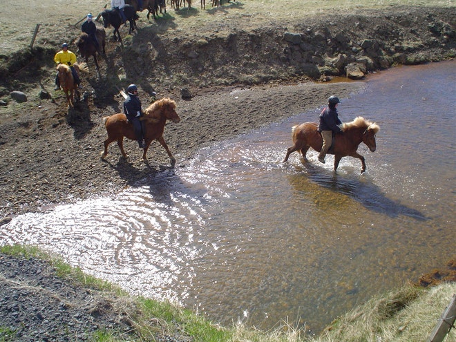 Riding and Hiking