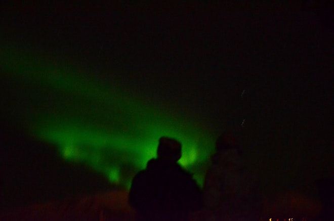 Whale Watching & Northern lights Combo