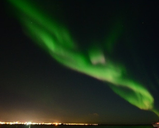 Whale Watching & Northern lights Combo