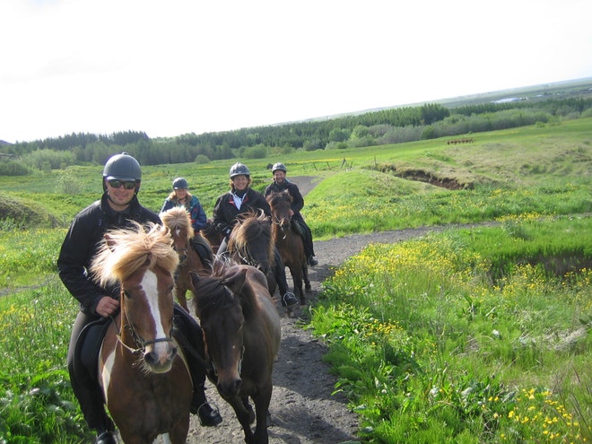 1 Hour Horse Riding Tour