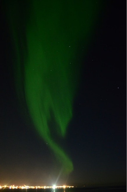 Whale Watching & Northern lights Combo