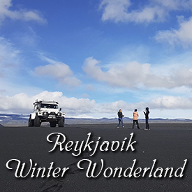 Reykjavik Winter Wonderland