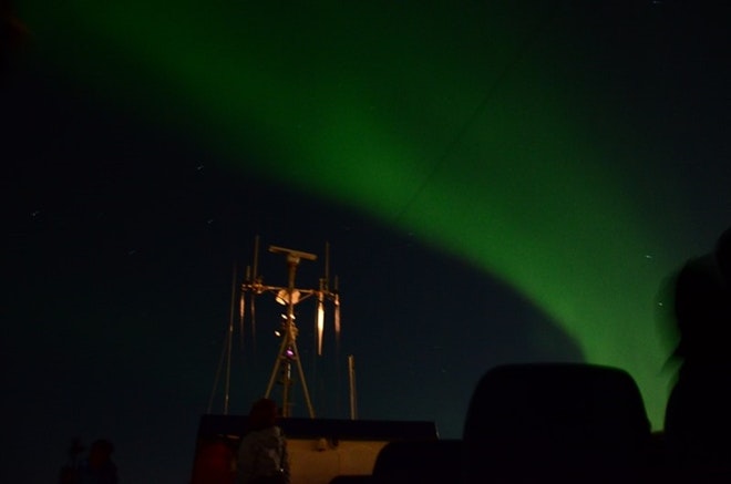 Whale Watching & Northern lights Combo