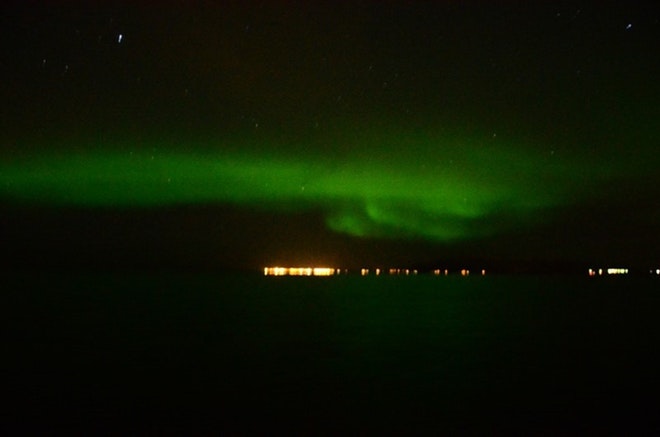 Whale Watching & Northern lights Combo