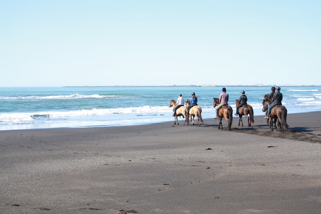 Beach Horse Riding Tour