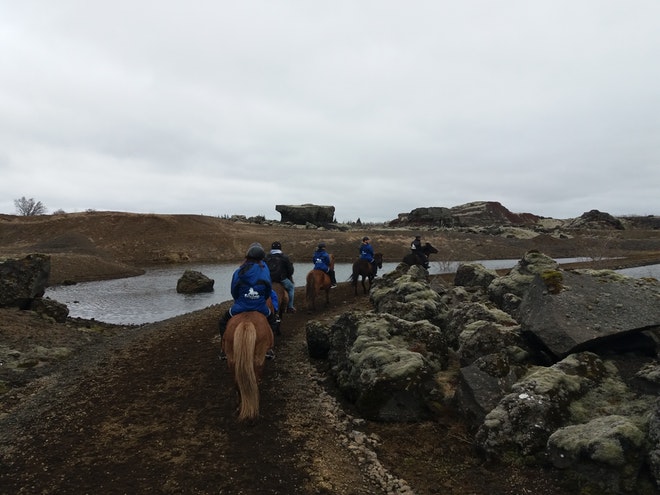 1 Hour Red Lava Horse Riding (Sólhestar Reykjavik)