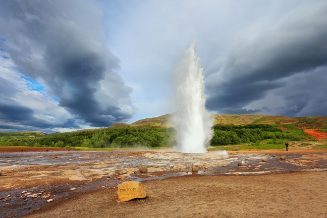 Best of Iceland -  Summer special (Golden Circle, Whale Watching & South Coast)