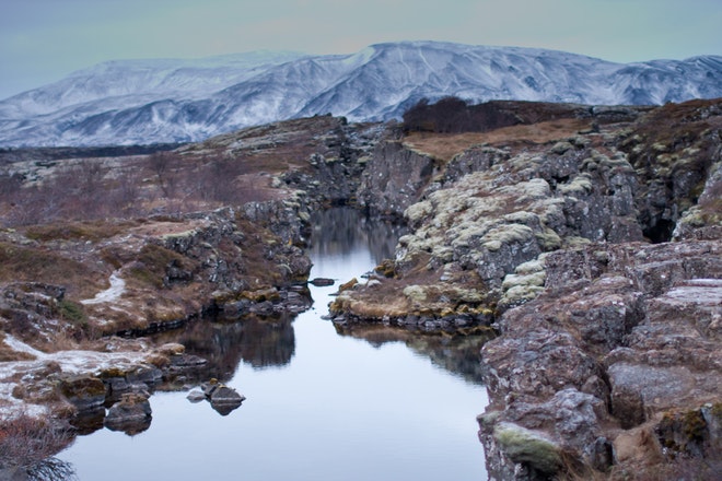 Golden Circle and Horses