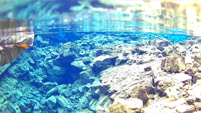 Snorkelling Silfra M + Photos & Cookies Iceland Explore