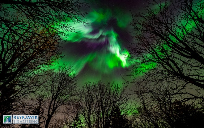 Ultimate Reykjavik Night! - Local Beers & Northern Lights