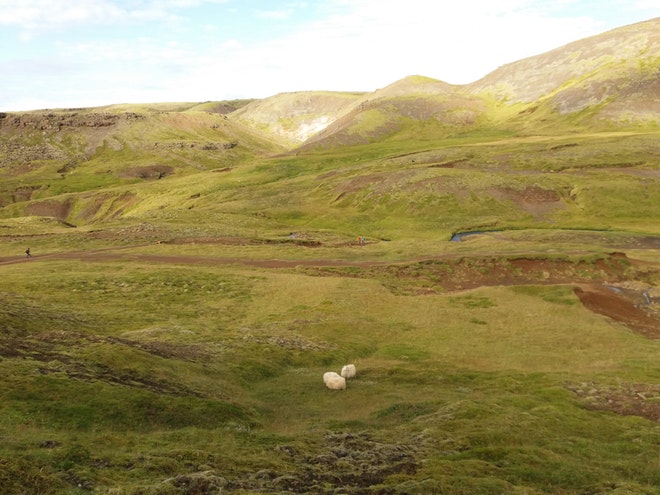 Landsmot 2018 / The National Icelandic Horse Competition 2018