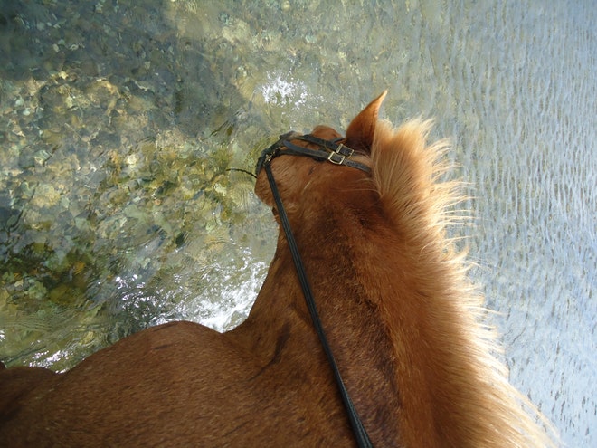 Red Lava Horse Riding & Glacier Ice Cave