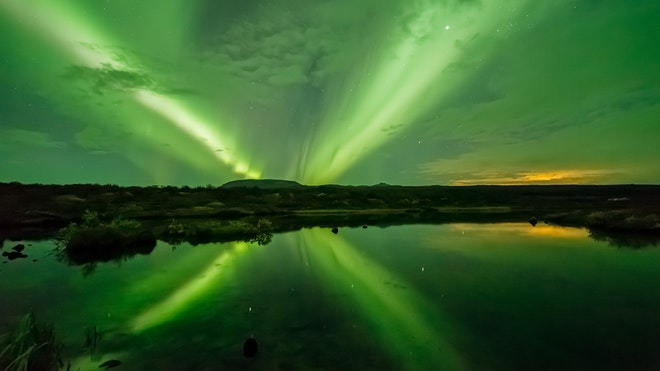 Whale Watching & Northern lights Combo