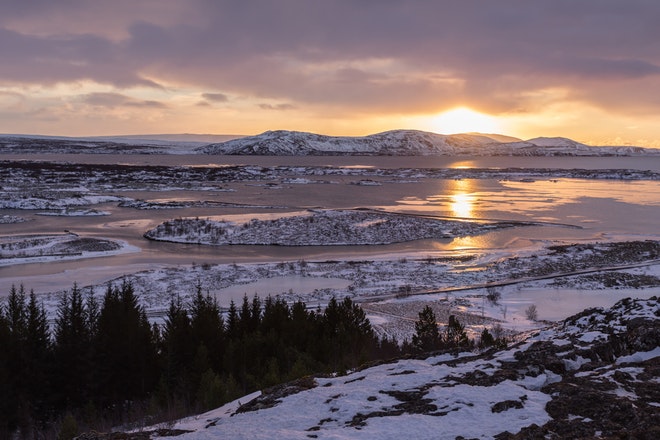 Golden Circle and Horses