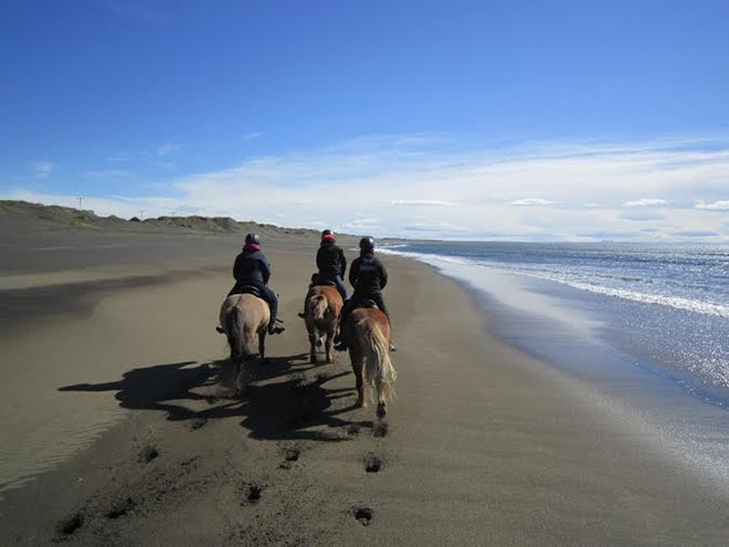 Beach Horse Riding Tour