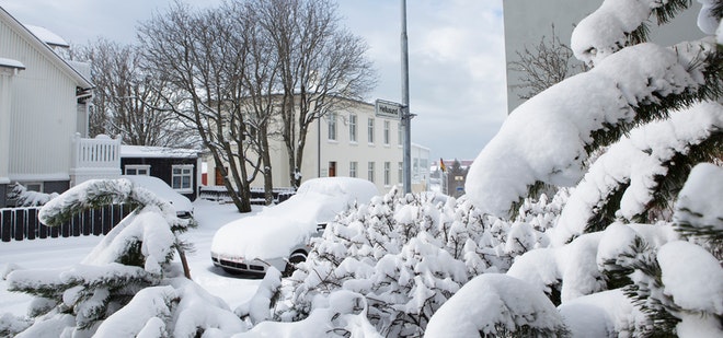 Reykjavik Christmas Walk