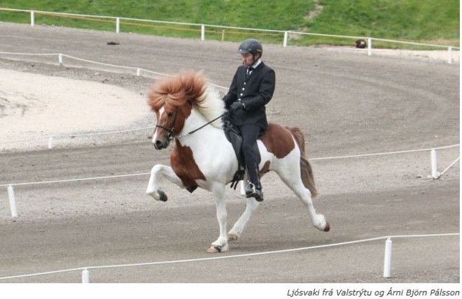 Landsmot 2018 / The National Icelandic Horse Competition 2018