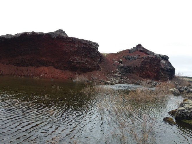 1 Hour Red Lava Horse Riding (Sólhestar Reykjavik)