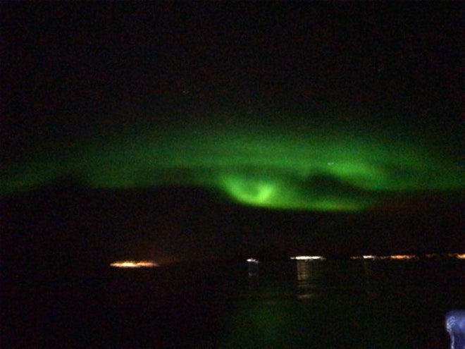 Whale Watching & Northern lights Combo