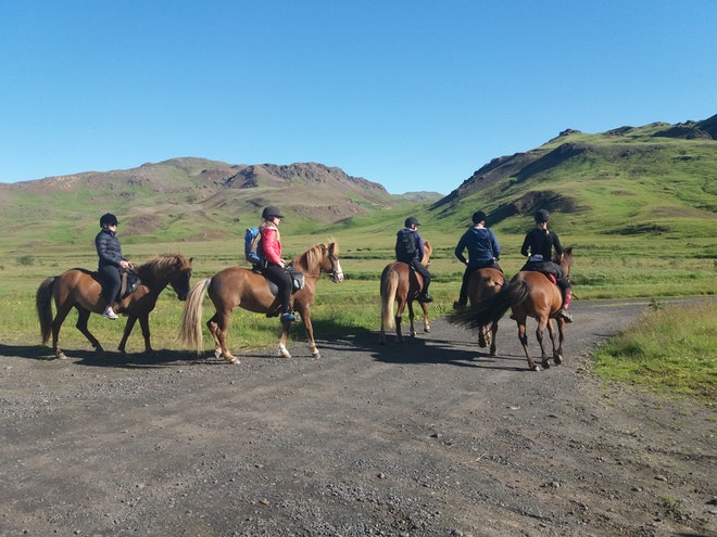 Landsmot 2018 / The National Icelandic Horse Competition 2018