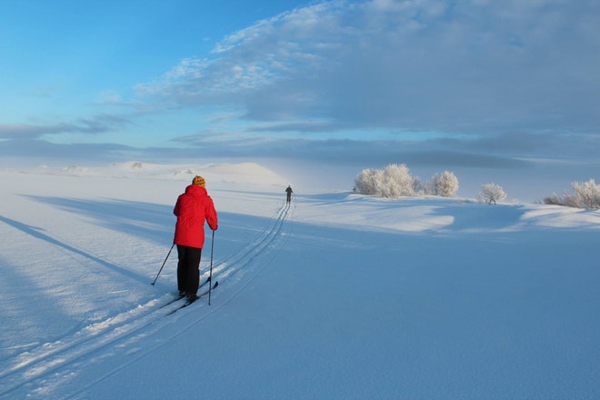 Nordic skiing