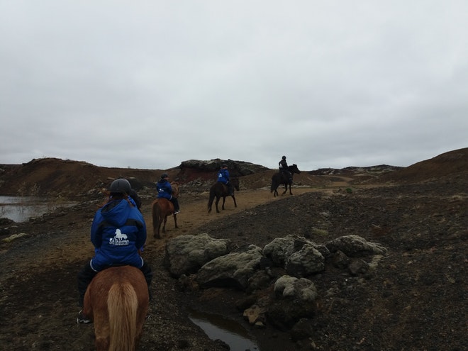 1 Hour Red Lava Horse Riding (Sólhestar Reykjavik)