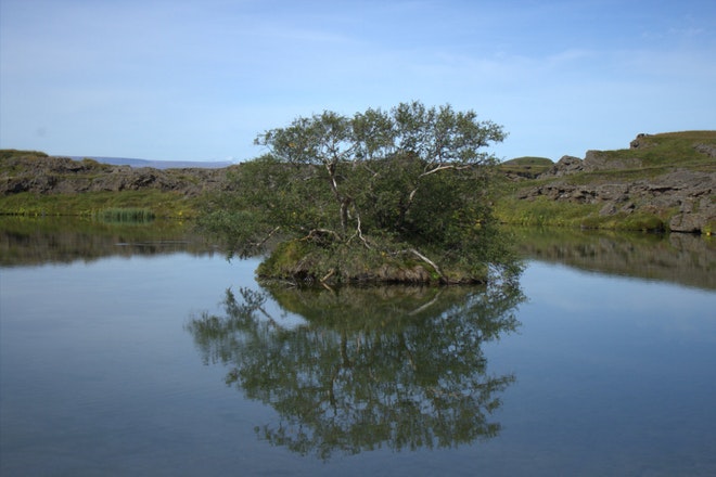 Day tours from Reykjavik