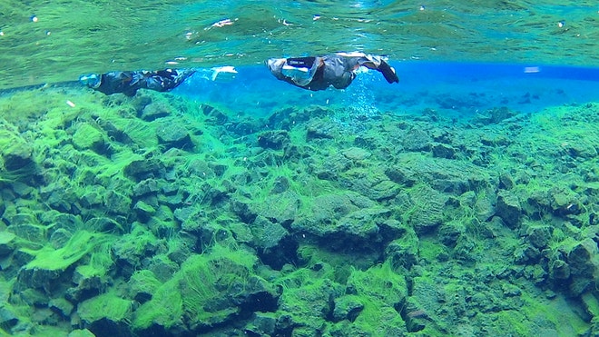 Snorkelling Silfra M + Photos & Cookies Iceland Explore