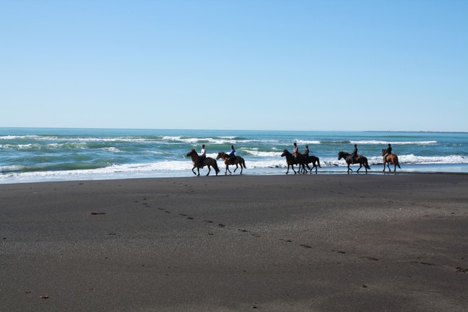 Beach Horse Riding Tour