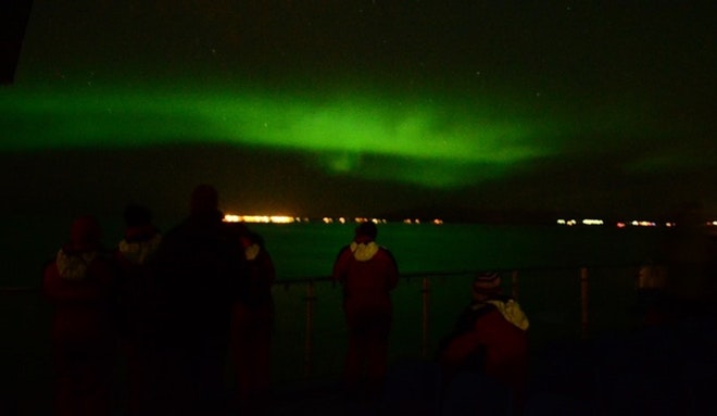 Whale Watching & Northern lights Combo