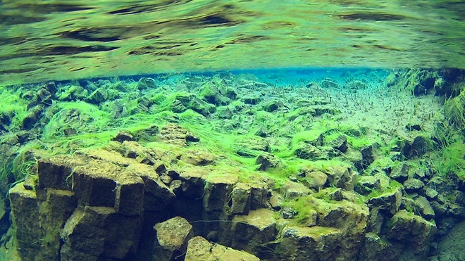 Snorkelling Silfra M + Photos & Cookies Iceland Explore