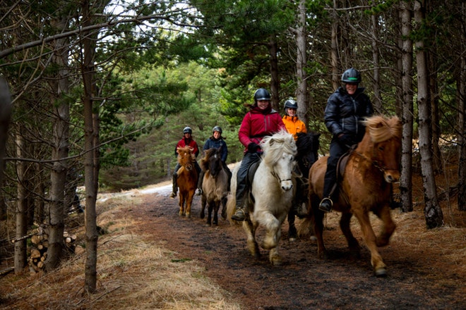 Horses and Hot Springs