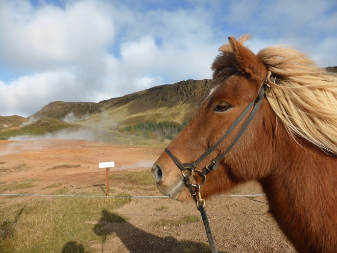 Horses and Hot Springs