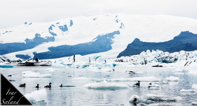 The south coast and Glacier lagoon