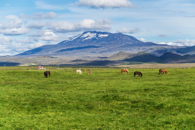 South Coast and Glacier Tour