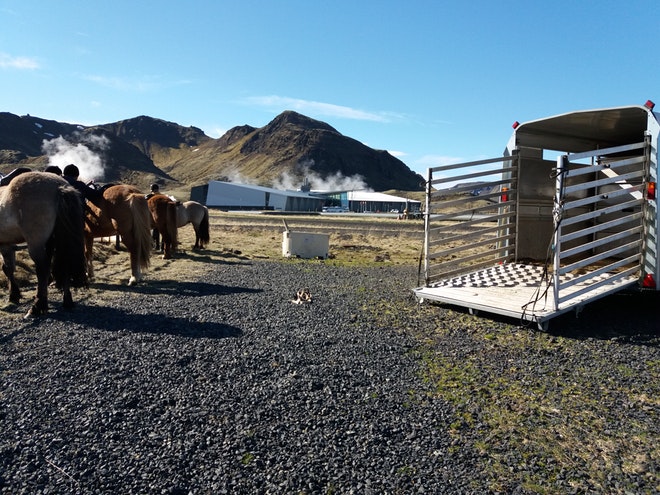 Landsmot 2018 / The National Icelandic Horse Competition 2018