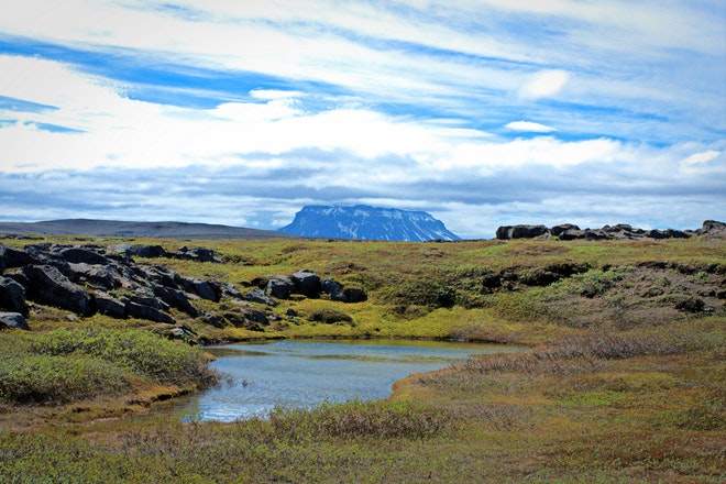 Askja and Holuhraun Tour