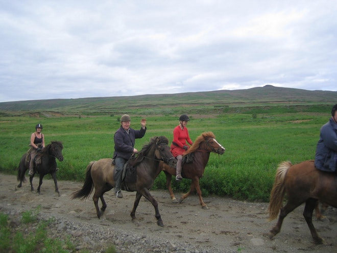 1 Hour Horse Riding Tour