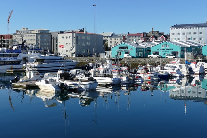 Reykjavik Insider - Guided Walk & Hosted Food Tour