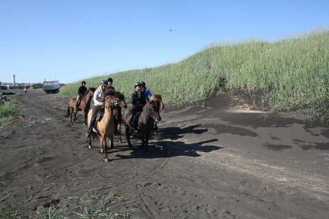 Beach Horse Riding Tour