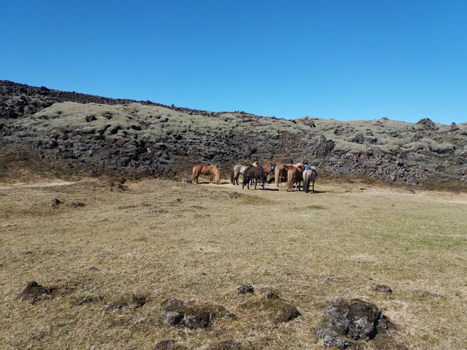 Mountain Riding (3 Days)