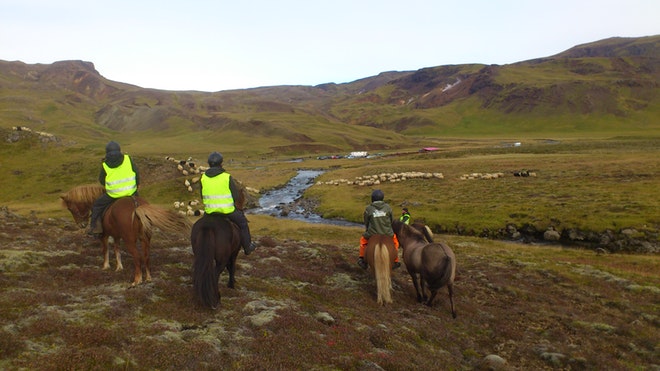 Sheep Roundup Tour 2018 (3 Days)